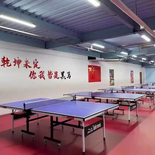 Beable Customizable Table Tennis PVC Sports Flooring – Competition Court Surface with Personalized Logo