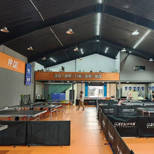 Beable Professional PVC Table Tennis Flooring – Ideal for School Purchase & Competitions
