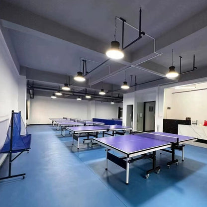 Beable Professional Table Tennis Flooring for Tournament and School Gym