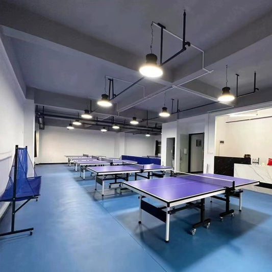 Beable Professional Table Tennis Flooring for Tournament and School Gym
