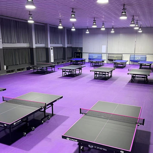 Beable Durable PVC Table Tennis Floor Mat – Non-Slip, Color Customizable, Sample Support