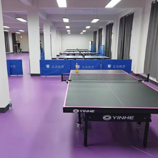 Beable Customizable Indoor Ping Pong Flooring – Professional Quality with Sample Service