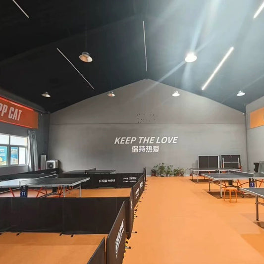 Beable Professional PVC Table Tennis Flooring – Ideal for School Purchase & Competitions
