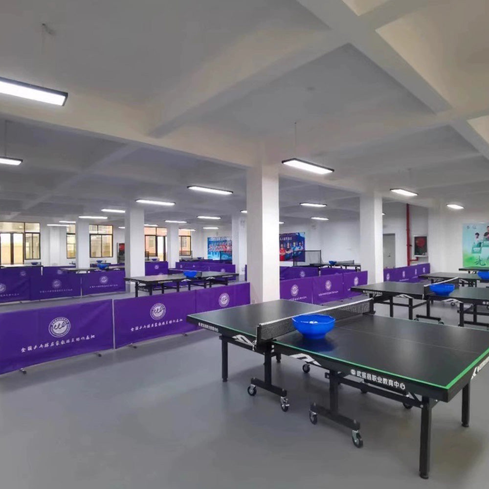 Beable Economical PVC Sports Flooring | Table Tennis Court Use | Club & School Project Ready