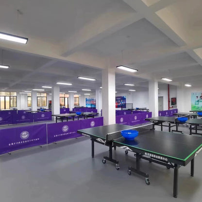 Beable Economical PVC Sports Flooring | Table Tennis Court Use | Club & School Project Ready