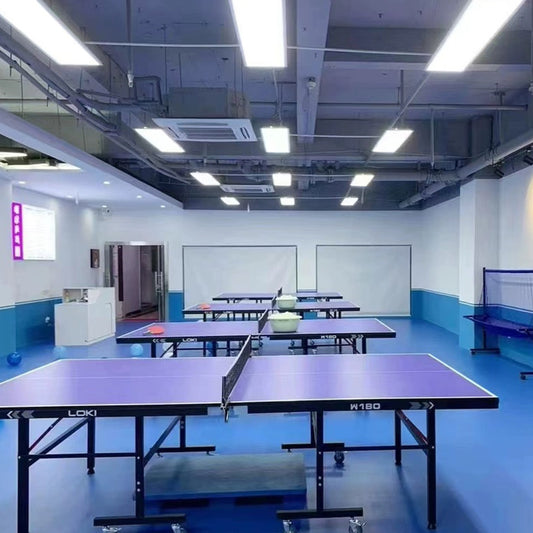Beable Professional Table Tennis Flooring for Tournament and School Gym