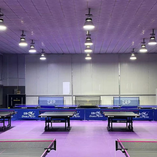 Beable Durable PVC Table Tennis Floor Mat – Non-Slip, Color Customizable, Sample Support
