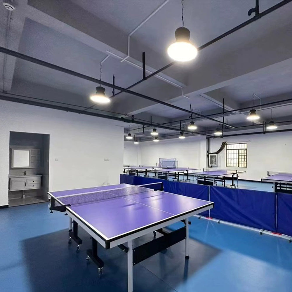 Beable Professional Table Tennis Flooring for Tournament and School Gym